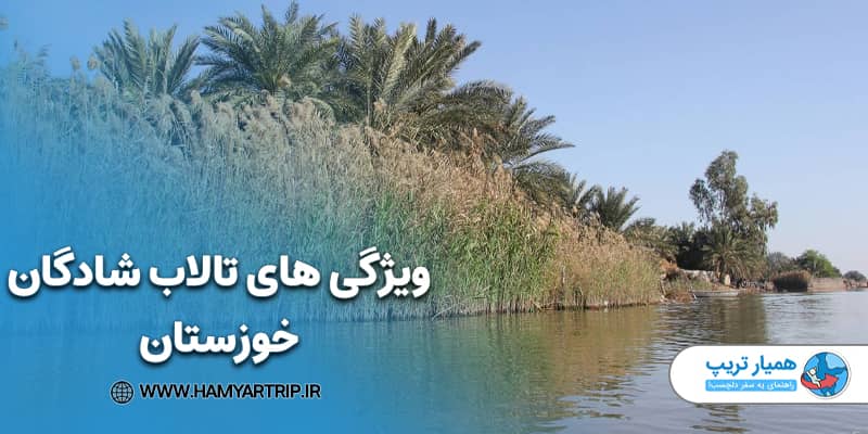 ویژگی های تالاب شادگان خوزستان