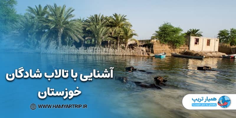 آشنایی با تالاب شادگان خوزستان