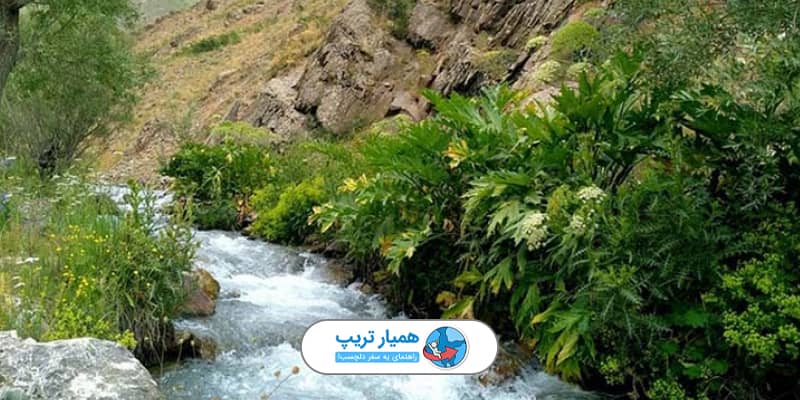 معرفی بهترین مناطق خلوت تهران برای سیزده بدر