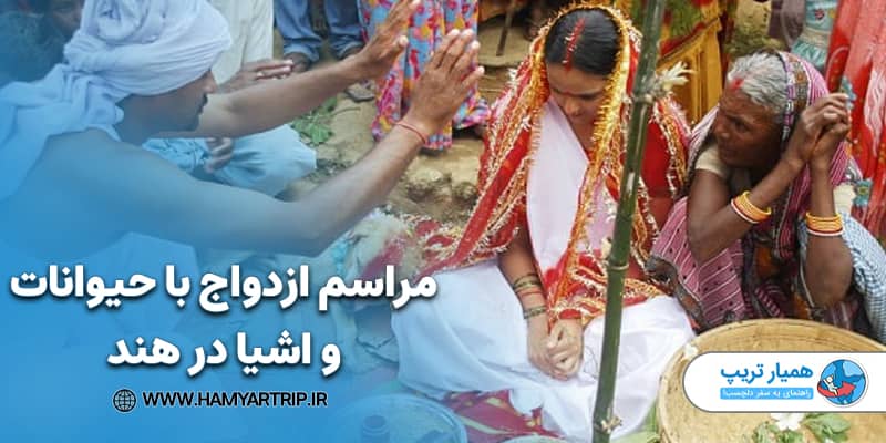مراسم ازدواج با حیوانات و اشیا در هند