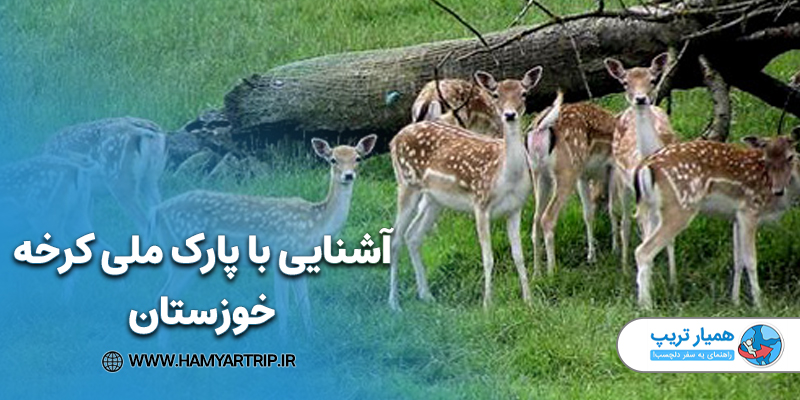 آشنایی با پارک ملی کرخه خوزستان